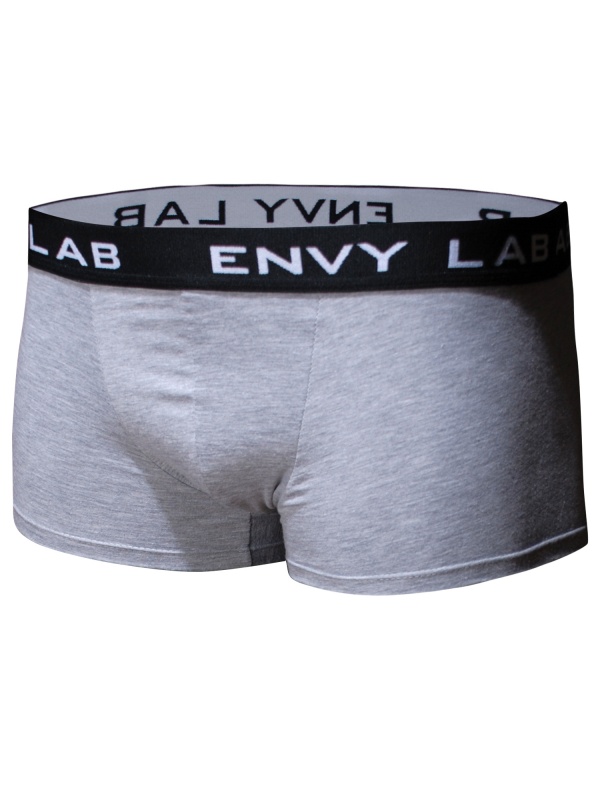 картинка товара трусы pants gray в магазине Envy LAB