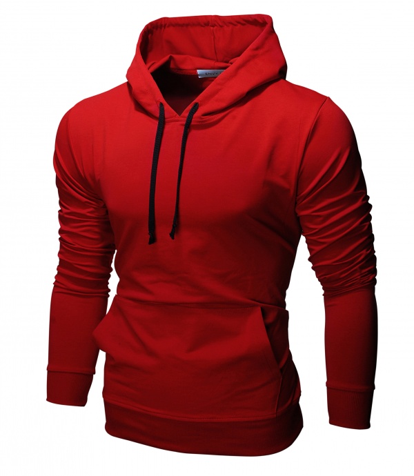 картинка товара толстовка basic hoodie red в магазине Envy LAB